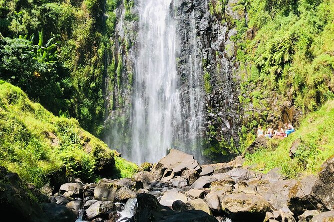 Materuni Waterfall, Coffee Tour and Picnic Hot Lunch - Key Points