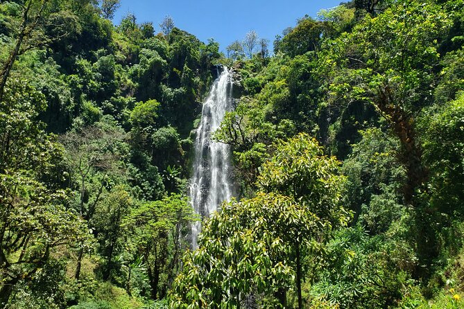 Materuni Waterfall, Coffee Tour and Picnic Hot Lunch - Meeting and Pickup Details