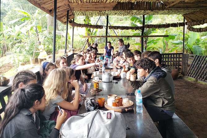 Materuni Waterfall, Coffee Tour and Picnic Hot Lunch - Hiking and Physical Requirements