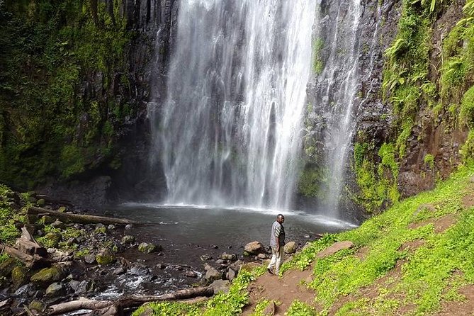 Materuni Waterfall & Coffee Tour - Meeting Point and Pickup