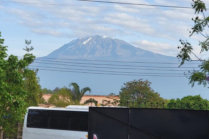 Materuni Waterfall - Coffee Tour or Chemka Hot Spring Tour - Pickup and Meeting Information