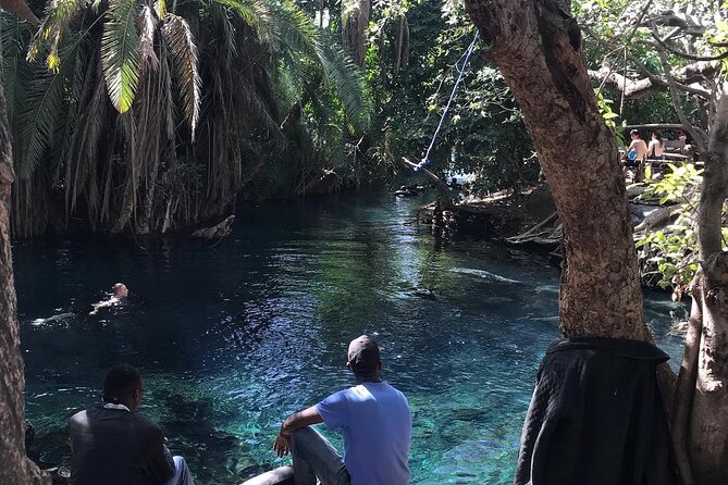 Materuni Waterfall - Coffee Tour or Chemka Hot Spring Tour - Pricing and Cancellation Policy