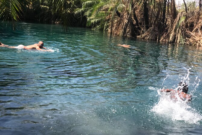 Materuni Waterfall - Coffee Tour or Chemka Hot Spring Tour - Reviews