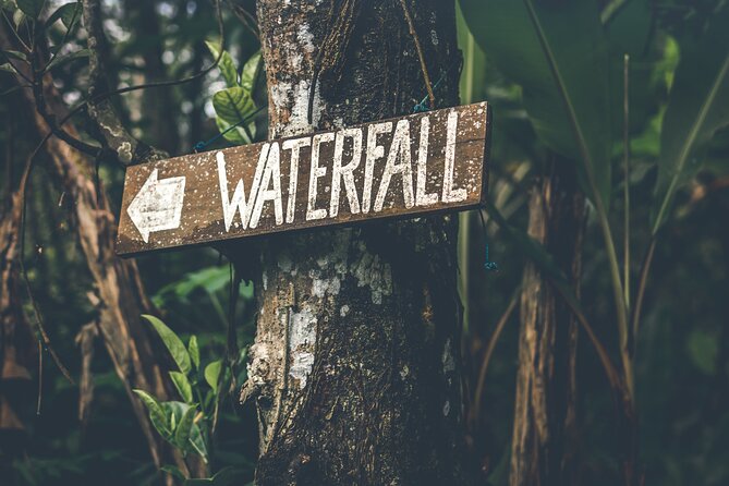 Materuni Waterfall Hike & Coffee Tour - Key Points