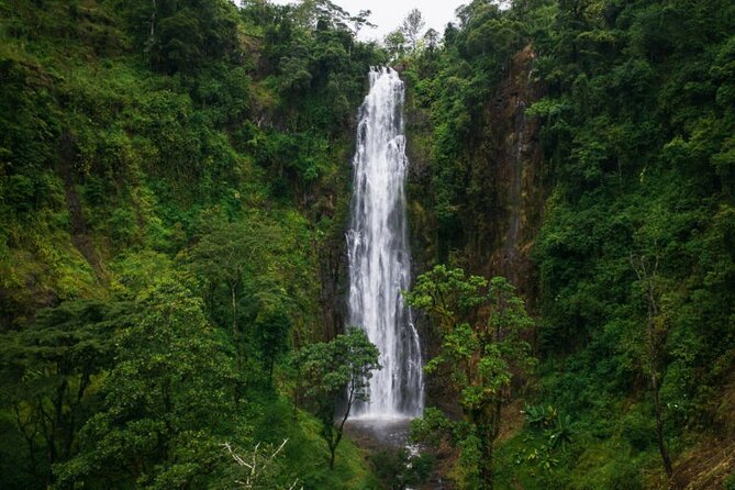Materuni Waterfall Hike & Coffee Tour - The Hike