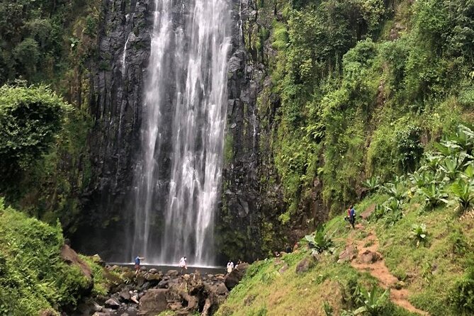 Materuni Waterfall Hike & Coffee Tour - Recap