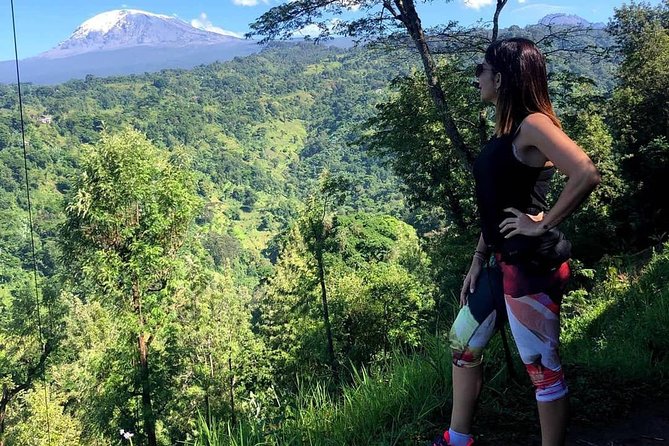 Materuni Waterfalls and Coffee Tour - Included Highlights