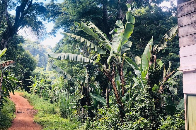 Materuni Waterfalls and Coffee Tour - Pickup and Meeting Details
