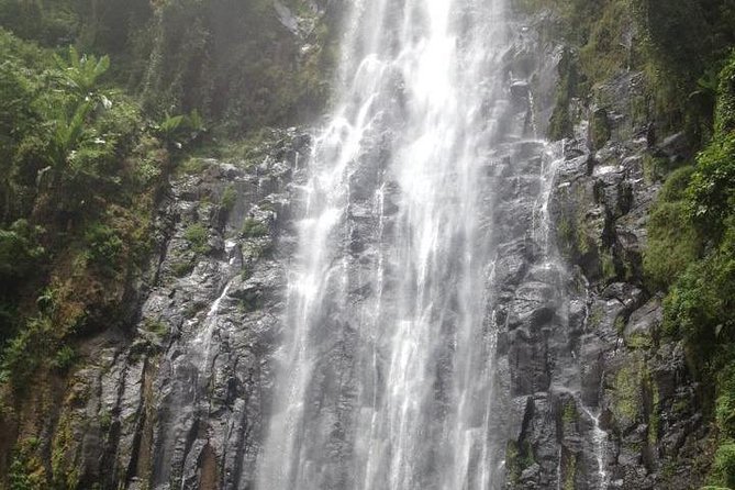 Materuni Waterfalls and Coffee Tour - The Hike to Waterfalls