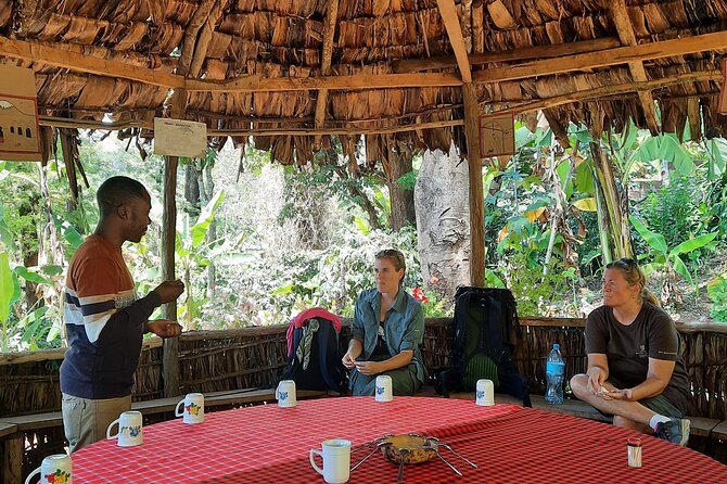 Materuni Waterfalls and Coffee Tour - Tour Schedule and Availability