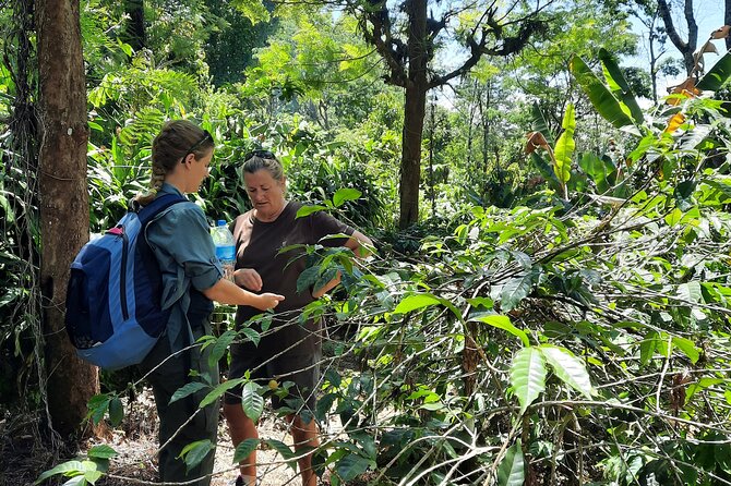 Materuni Waterfalls and Coffee Tour - Comprehensive Inclusions