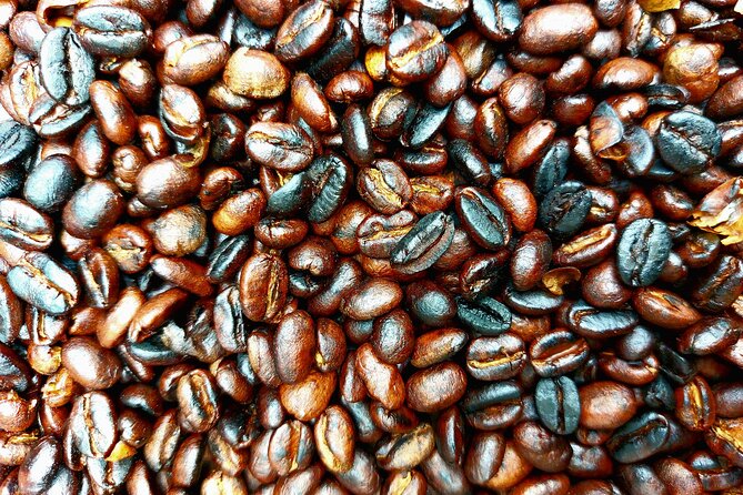 Materuni Waterfalls and Coffee Tour in Moshi - Tour Schedule