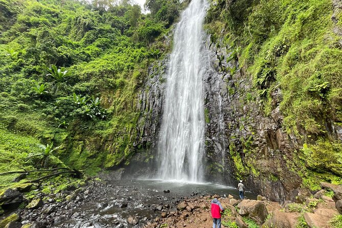 Materuni Waterfalls, Coffee Tour, and Kikuletwa (Chemka) Hot Springs - Included in the Tour