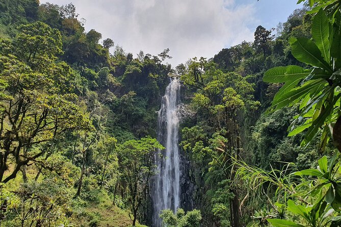 Materuni Waterfalls, Coffee Tour, and Kikuletwa (Chemka) Hot Springs - Confirmation and Booking