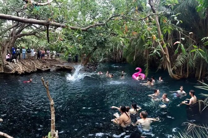 Materuni Waterfalls Coffee Tour & Chemka Hot Springs Day Trip - Exploring Materuni Waterfalls