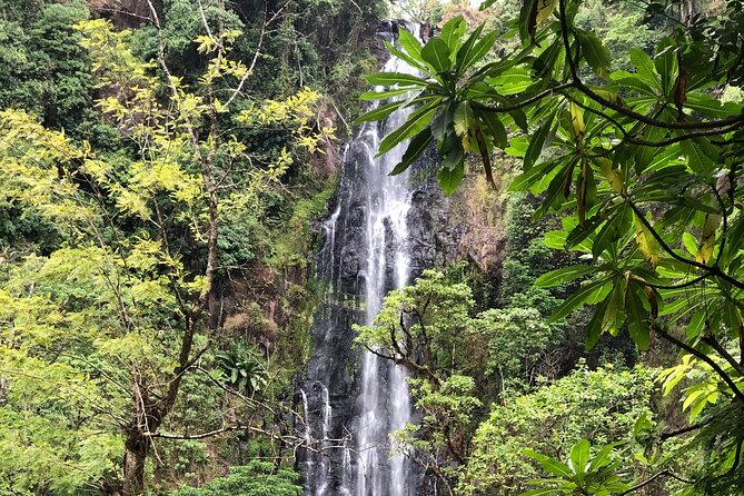 Materuni Waterfalls Coffee Tour & Chemka Hot Springs Day Trip - Private Transportation Included