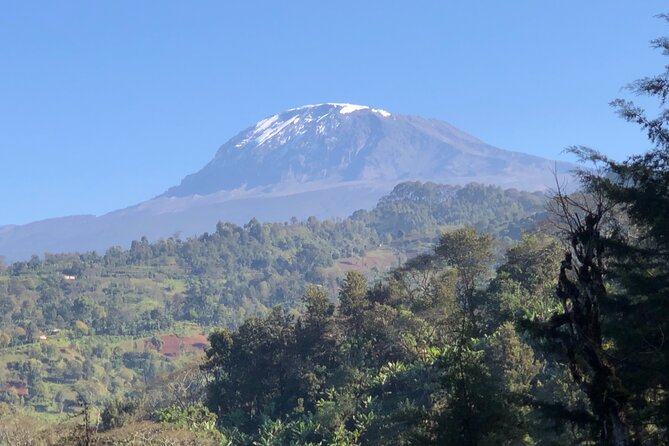 Materuni Waterfalls & Coffee Tour - Explore Materuni Village