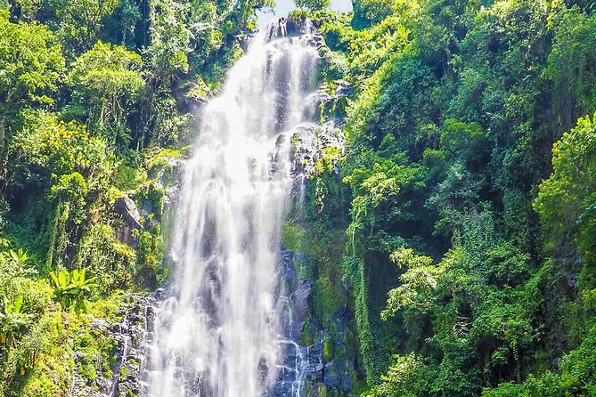 Materuni Waterfalls & Coffee Tour From Moshi - Cuisine