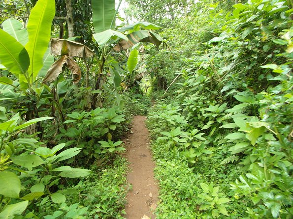 Materuni Waterfalls & Coffee Tour From Moshi - Logistics