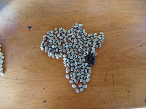Materuni Waterfalls & Coffee Tour From Moshi - Tour Schedule