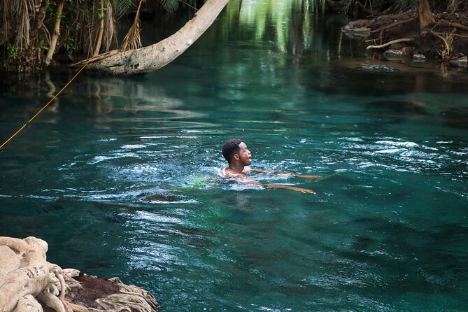 MATERUNI Waterfalls, Coffee Tour & Kikuletwa Hot Springs - Coffee Processing Experience