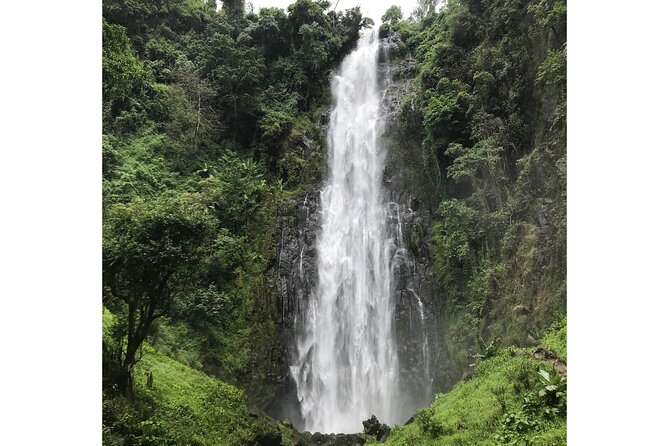 MATERUNI Waterfalls, Coffee Tour & Kikuletwa Hot Springs - Private Transportation Provided
