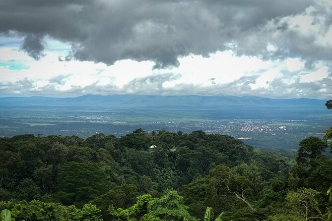 MATERUNI Waterfalls, Coffee Tour & Kikuletwa Hot Springs - Inclusions and Policies Outlined