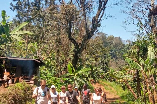 Materuni Waterfalls, Kikuletwa Chemka Hot Springs, Coffee Tour - Reviews and Testimonials