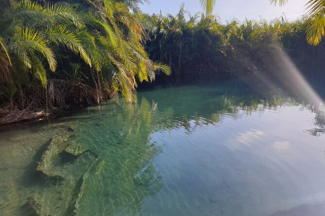 Materuni Waterfalls,Coffee and Chemka Hotspring Tour - Included Activities