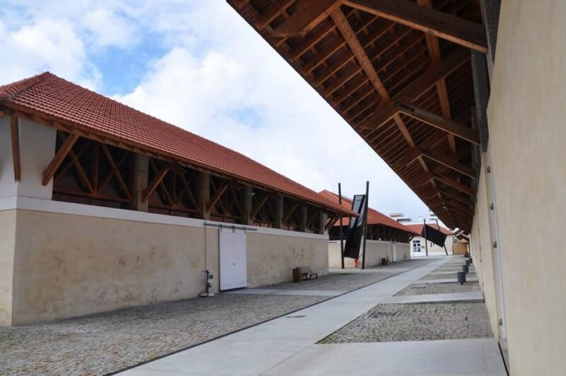 Matosinhos (Porto): "From the Sea to Your Plate" Food Tour - Participant Reviews and Ratings