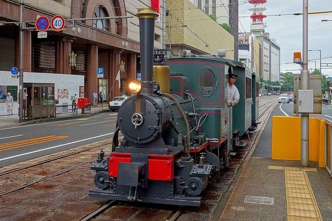 Matsuyama Full-Day Private Trip With Government-Licensed Guide - Accessibility and Accommodations