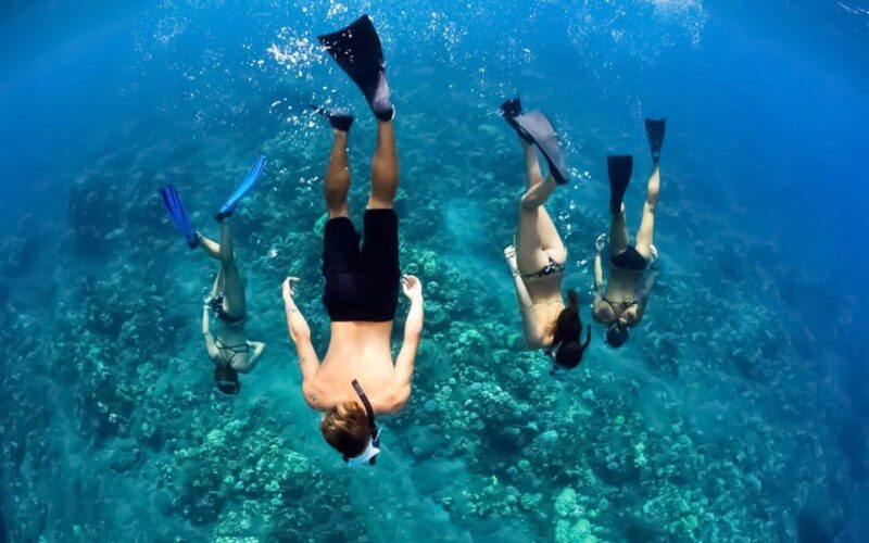 Maui: Alii Kai Turtles & Tacos Snorkel Sail - Iconic Snorkeling Spots