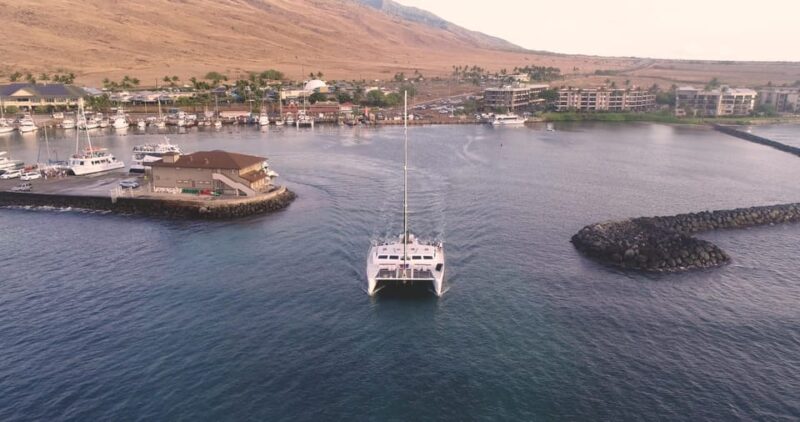 Maui: Alii Kai Turtles & Tacos Snorkel Sail - Spacious Catamaran Amenities