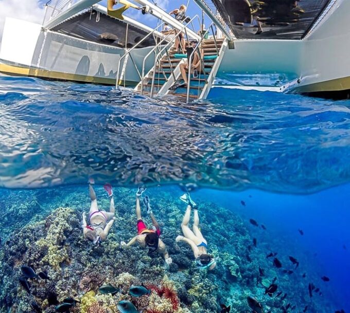 Maui: Alii Kai Turtles & Tacos Snorkel Sail - Meeting Point and Parking