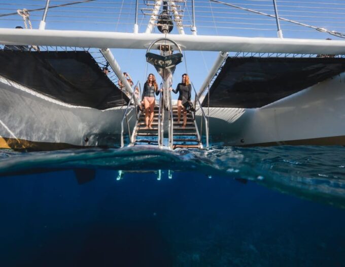 Maui: Alii Kai Turtles & Tacos Snorkel Sail - Frequently Asked Questions