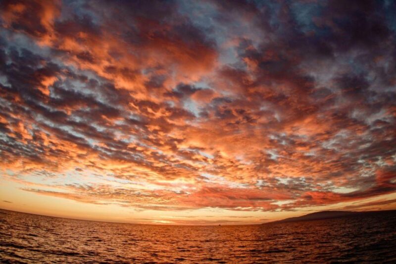 Maui: Alii Nui Luxury Catamaran Makani Sunset Sail - Frequently Asked Questions