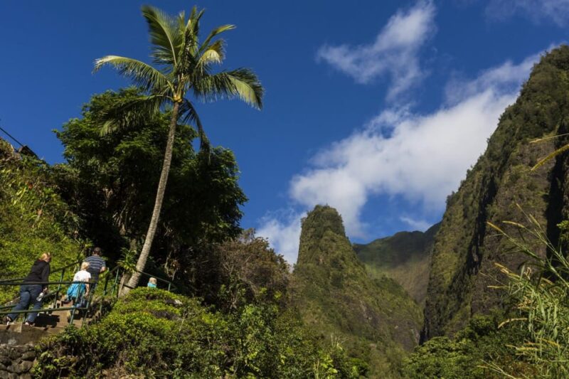 Maui: Aloha MotorSports Slingshot North Coast Tour - Honolua Bay Adventure