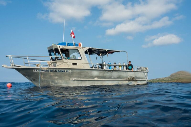 Maui: Beginner Discovery Scuba Dive Excursion From Lahaina - No Diving Certification Required