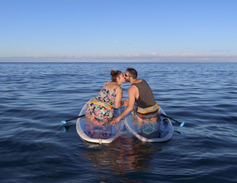 Maui: Beginner Level Private Stand-Up Paddleboard Lesson - Customer Reviews
