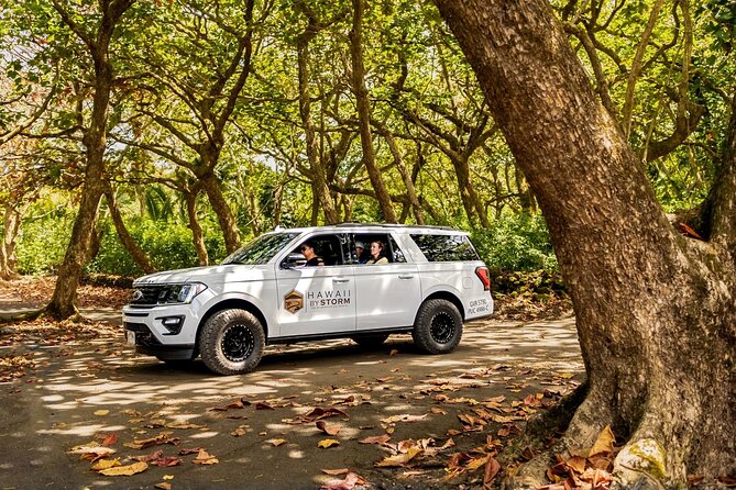 Maui by Storm: Epic Private Luxury Road to Hana Adventure Tour - Customer Reviews and Feedback