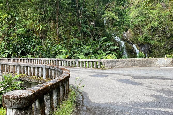 Maui by Storm: Epic Private Luxury Road to Hana Adventure Tour - Exploring the Scenic Wonders of Maui