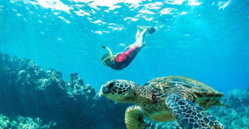 Maui: Cruise With Snorkeling and Barbecue Lunch - Itinerary and Inclusions