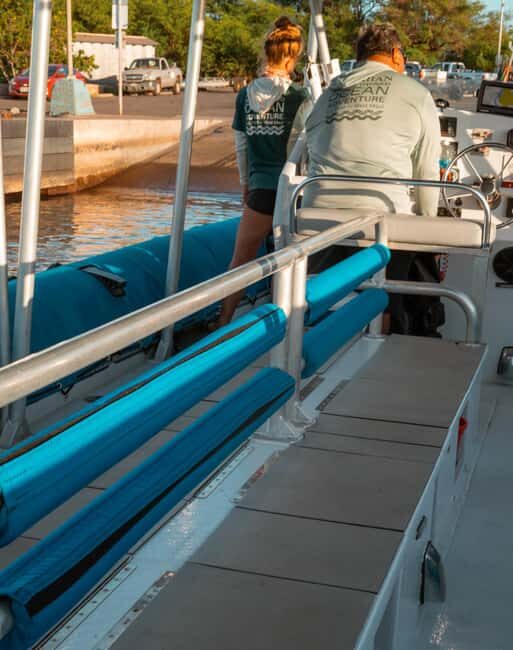 Maui: Eco-Raft Dolphin Watch Tour with Snacks - Price and Value