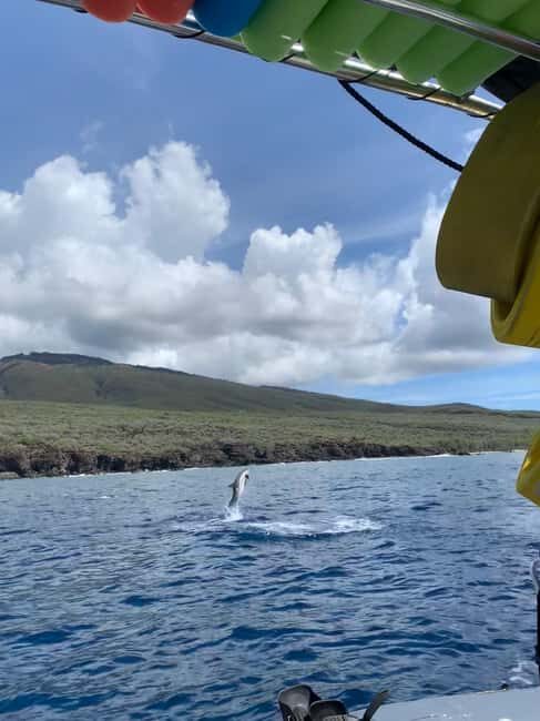 Maui: Eco-Raft Dolphin Watch Tour with Snacks - Authentic Marine Encounters and Reviews