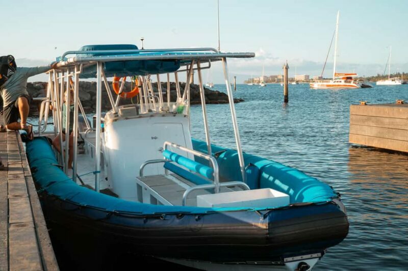 Maui: Eco-Raft Dolphin Watch Tour with Snacks - The Sum Up