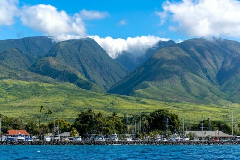 Maui: Eco-Raft Dolphin Watch Tour with Snacks - FAQ