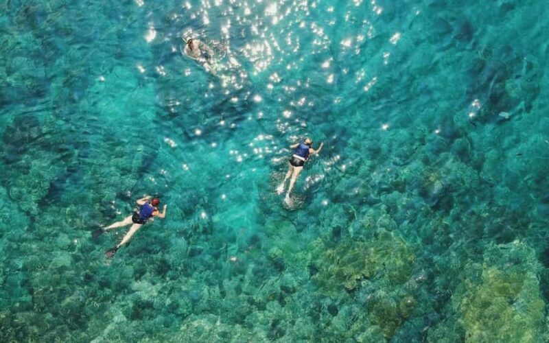 Maui Eco Raft: Turtle Snorkel + Whale Watch(Semi-Private) - A Closer Look at the Maui Eco-Raft Tour