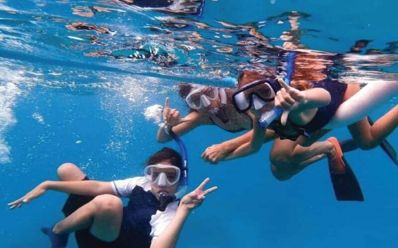 Maui Eco Raft: Turtle Snorkel + Whale Watch(Semi-Private) - FAQ