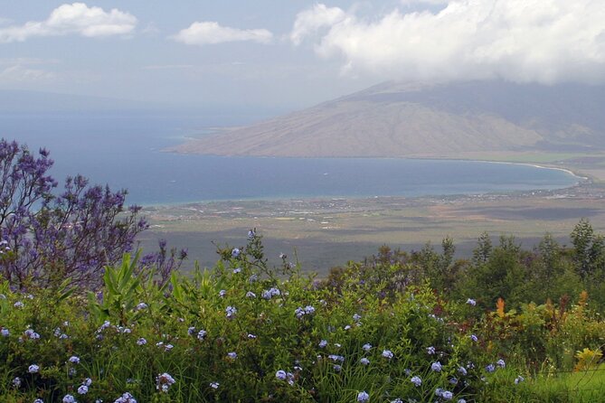 Maui Farm Distillery and Local Craft Experience Full-Day Tour - Goat Farm Visit