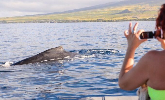 Maui: Guided Whale Watching Tour on Eco Raft - Cancellation Policy